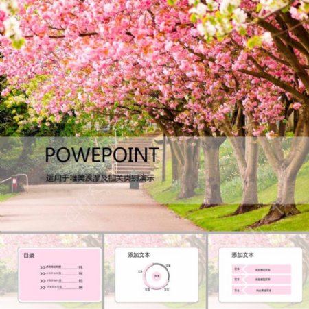 粉色樱花ppt模板