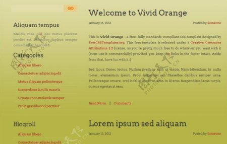 动感橙色信息网页模板