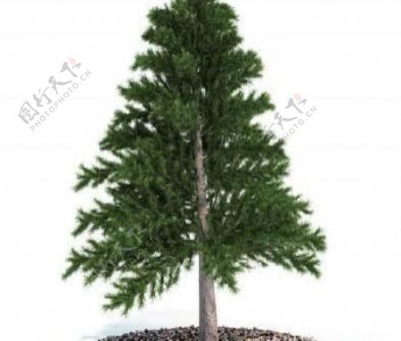 国外精品植物树木灌木3D模型25套2