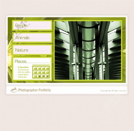 国外网页设计绿色简约现代风格