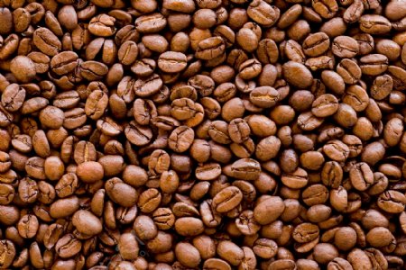 巴西咖啡豆图片