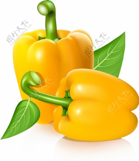 黄色的辣椒