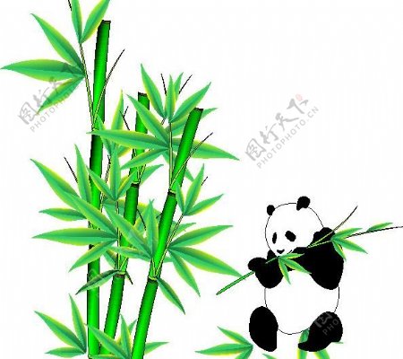 可爱熊猫吃竹图图片