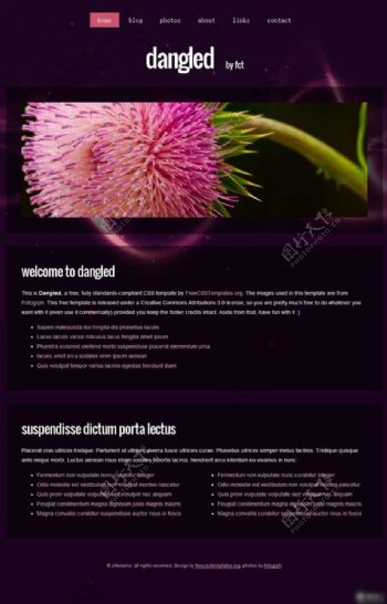 紫色星际之花网页模板