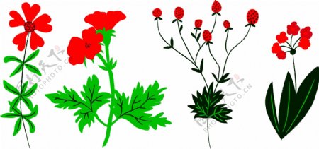 植物设计图