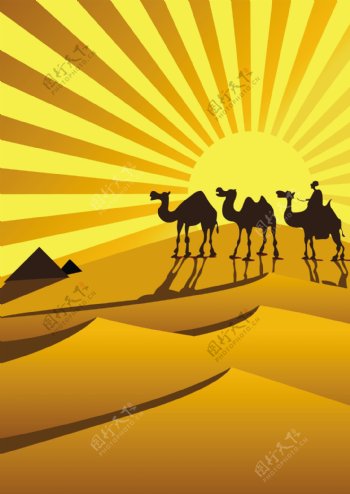黄金沙漠骆驼剪影矢量素材