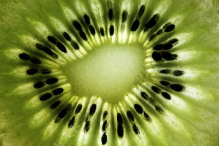 物件创意特写蔬菜水果绿色植物装饰品