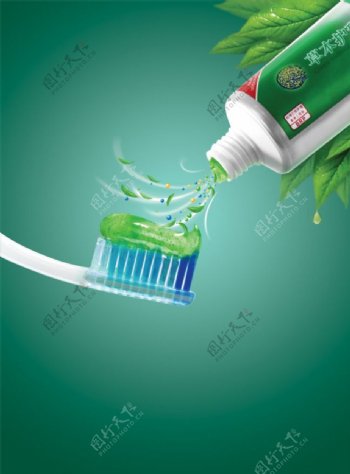 草本护理牙膏牙刷