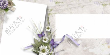 PSD婚纱模版唯美紫色蝴蝶白色野菊