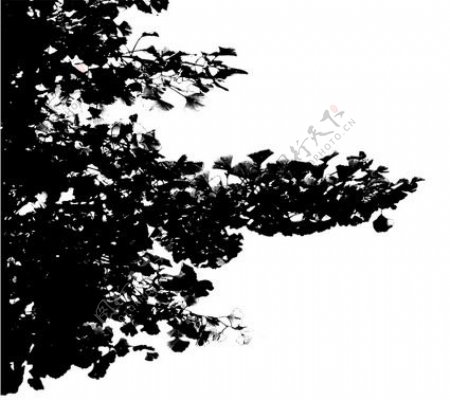枯树枝纸条树阴影3D材质贴图素材2