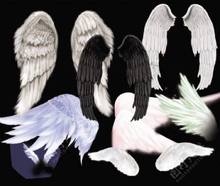 各种天使翅膀素材