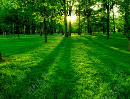 树木与草地黄昏PPT模板范文素材风景PPT模板范文