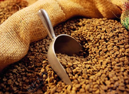 咖啡咖啡豆咖啡麻袋咖啡素材