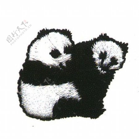绣花熊猫猫熊活化石竹熊免费素材