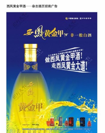 西凤黄金甲酒招商广告图片
