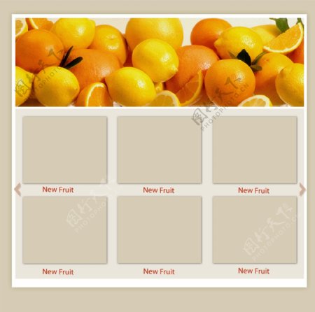 水果网页模板图片