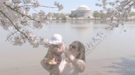 在杰佛逊纪念和潮汐盆地股票视频妈妈和宝宝视频免费下载