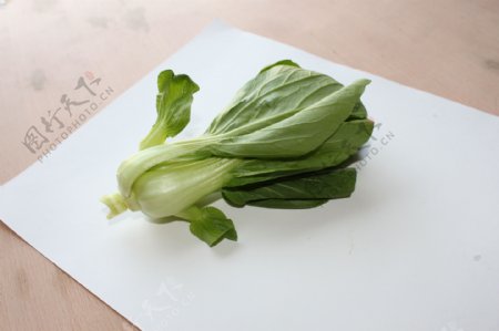 上海青蔬菜图片