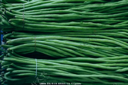 豆角蔬菜豇豆角图片