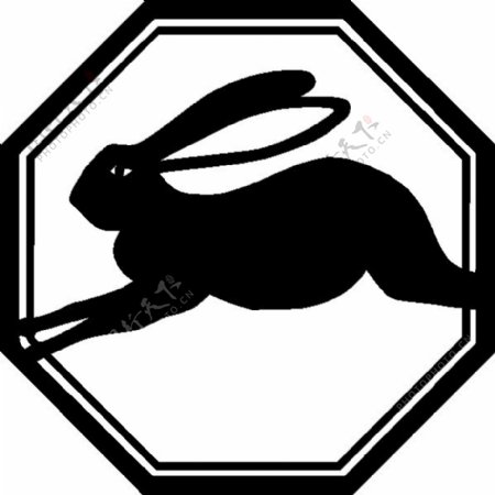 兔子跑的动物剪辑艺术