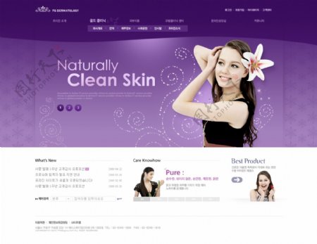 紫色网站首页模版