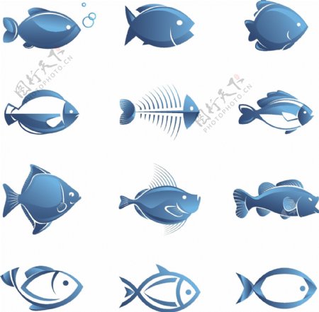 12个蓝色的鱼矢量插图