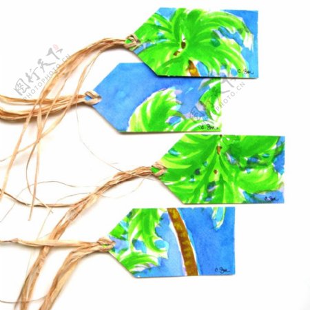 吊牌植物椰子树免费素材