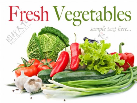 蔬菜广告图片