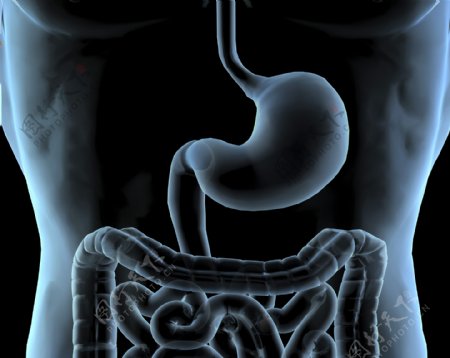 肠胃透视图片