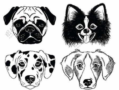 狗狗卡通动物设计动画图片