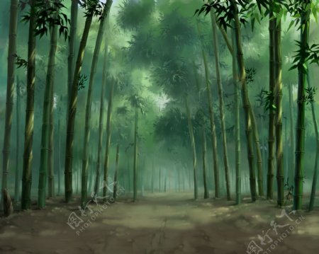 阴森的竹林图片