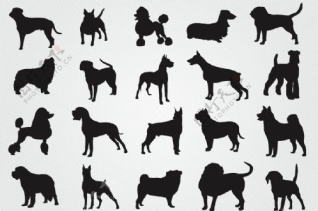 各种狗狗造型图片