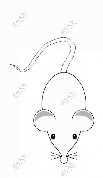 小鼠Mouse图片