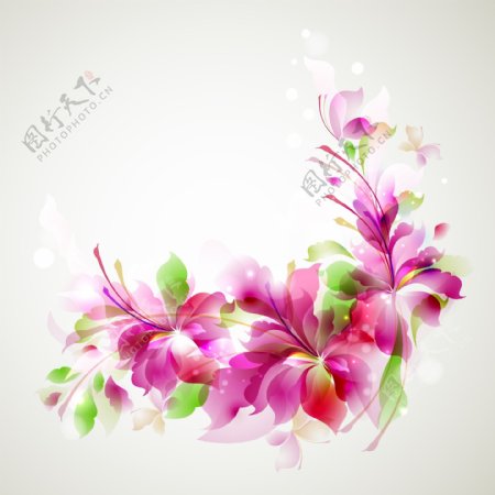 粉色百合花背景图片