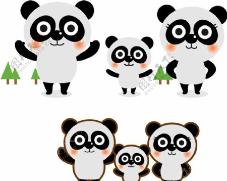 可爱卡通小动物熊猫图片