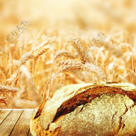 面包烤面包图片