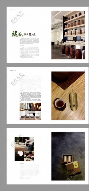 贵普茶杂志设计图片