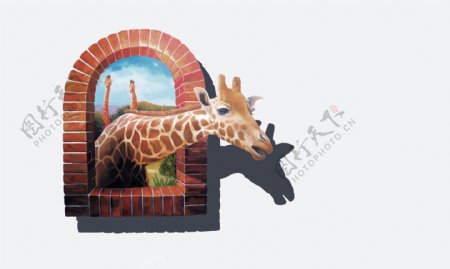 3D画高清长颈鹿图片