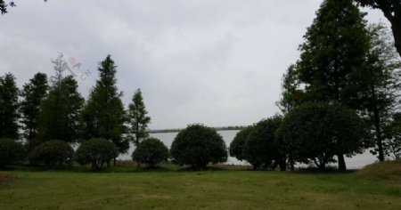 湖边树木草坪素材图片