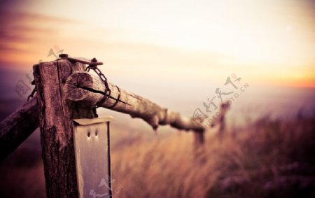 枯木篱笆栏杆图片