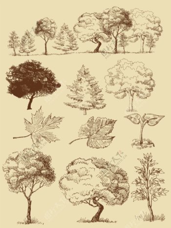 手绘树木树叶图片