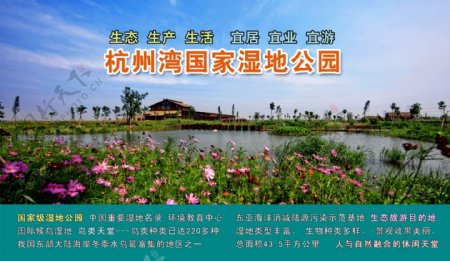 杭州湾湿地公园图片