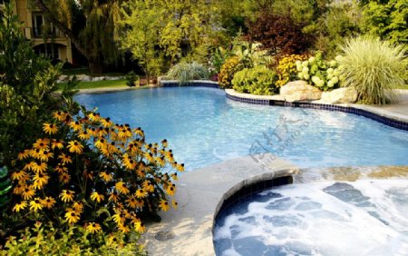 别墅泳池图片
