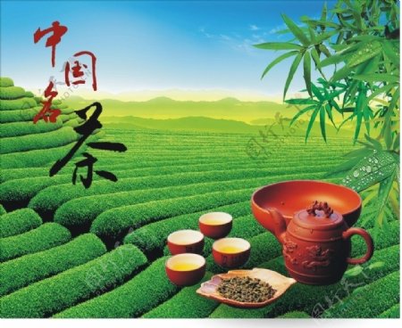 中国名茶图片