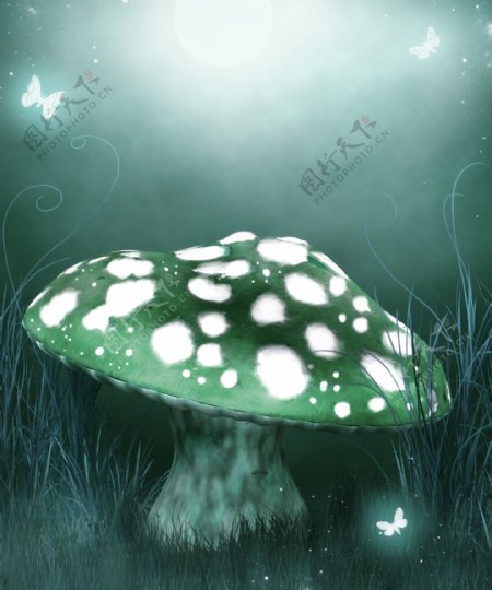 童话世界蘑菇蝴蝶图片