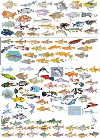 深海鱼类矢量图图片
