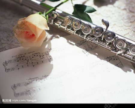 乐器长笛玫瑰与五线谱图片