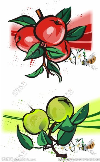 苹果蜜蜂花朵矢量素材图片