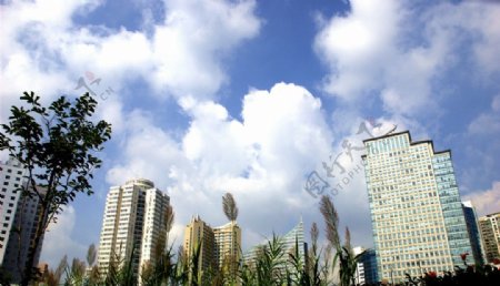 上海市中心的建筑图片