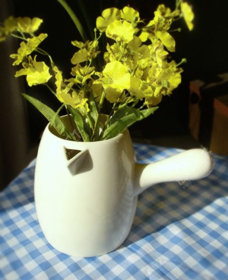 陶瓷药罐白花瓶图片